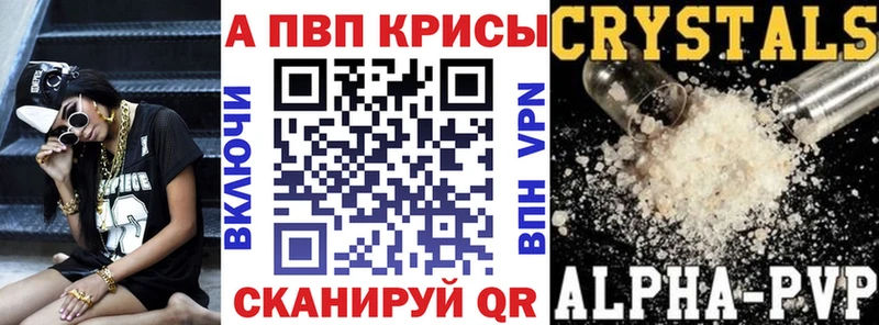 APVP СК  Кемерово 