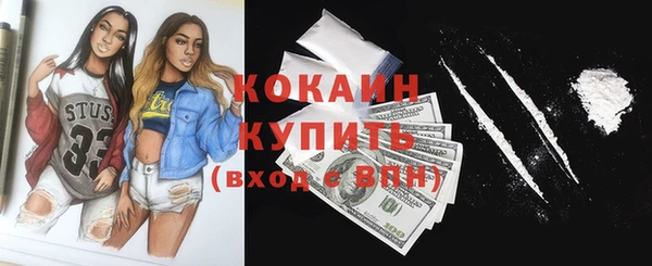 индика Инсар