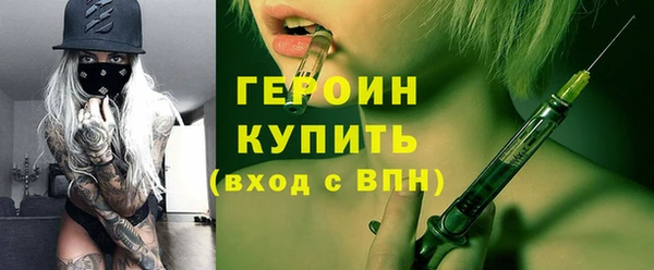 индика Инсар