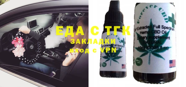индика Инсар