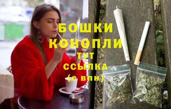 индика Инсар