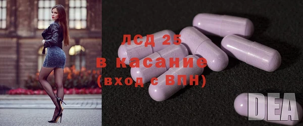 индика Инсар