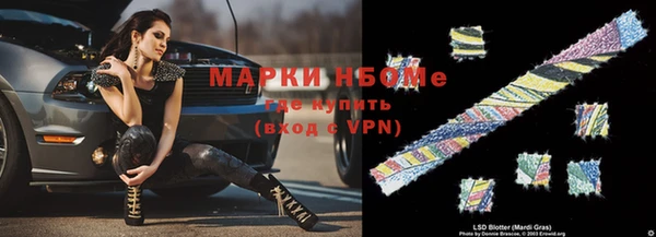 индика Инсар