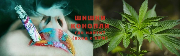 индика Инсар