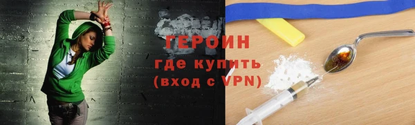 индика Инсар
