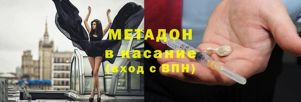 индика Инсар