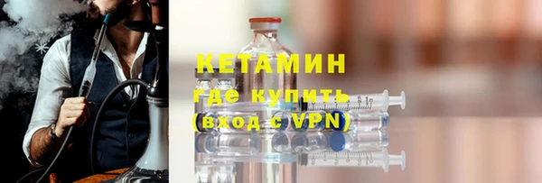 индика Инсар