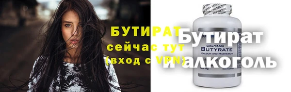 индика Инсар