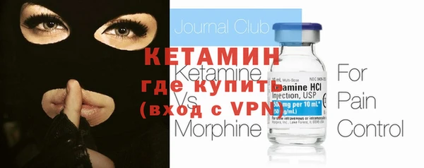 индика Инсар