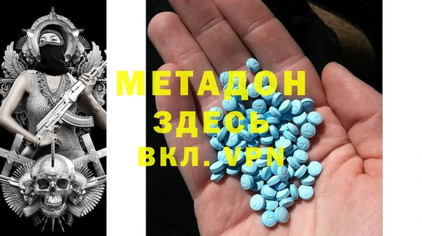 индика Инсар