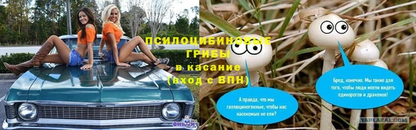 индика Инсар