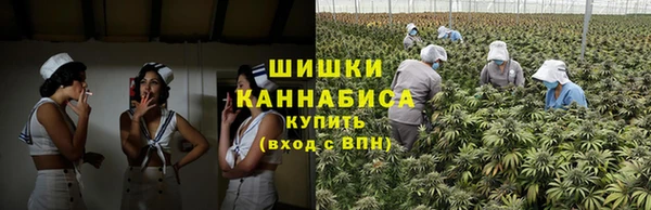 индика Инсар