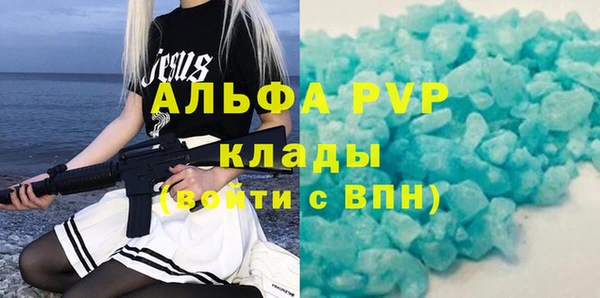индика Инсар