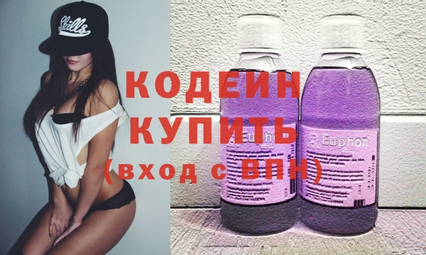 индика Инсар