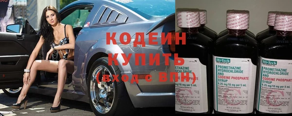 индика Инсар