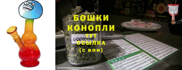 индика Инсар