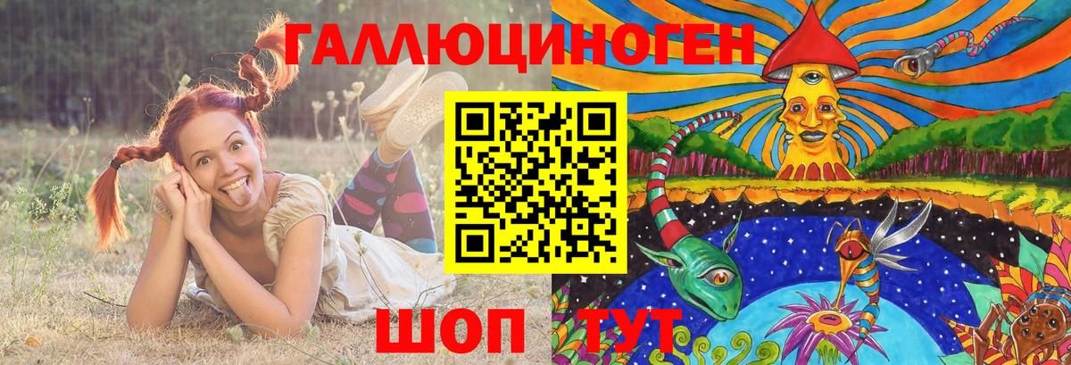 Псилоцибиновые грибы Psilocybe Кемерово