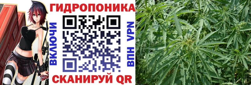 купить   Кемерово  Бошки марихуана индика 